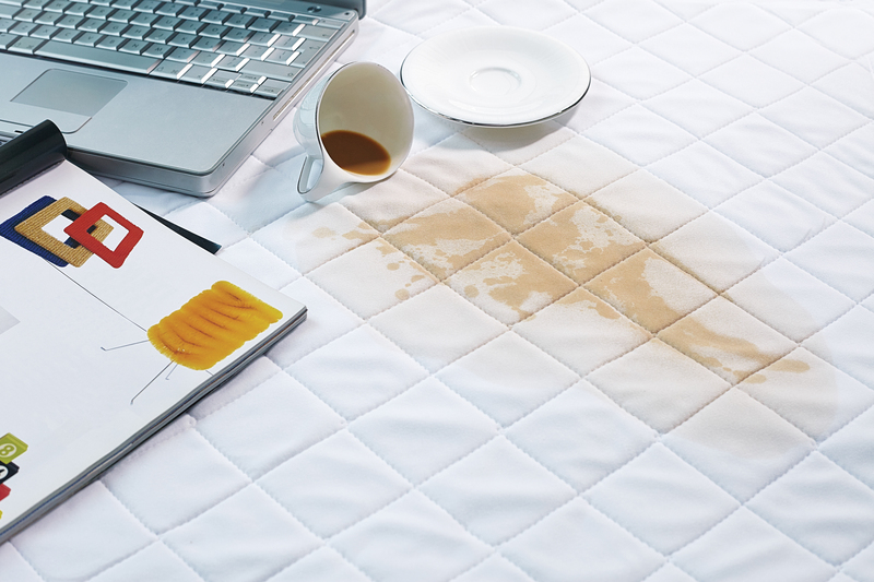 cleaning services professional cleaners