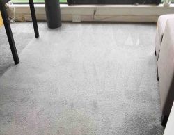 Grays rug cleaning RM17 
